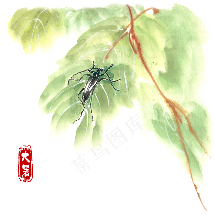 大暑绿叶与小黑牛