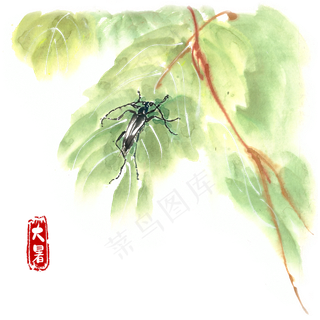 大暑绿叶与小黑牛