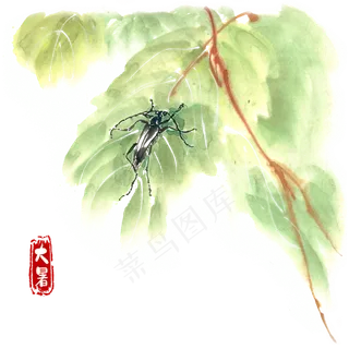 大暑绿叶与小黑牛