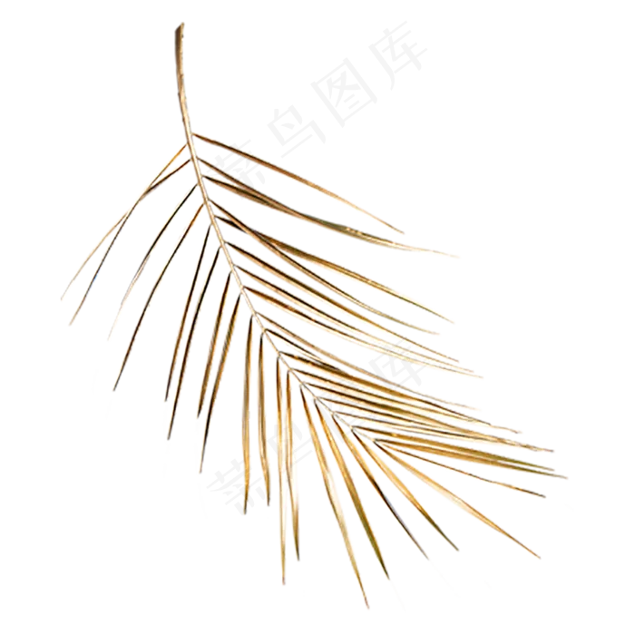 金色创意闪光叶子元素(2000X2000(DPI:300))psd模版下载