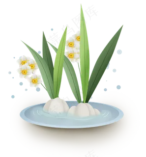 古风水仙花盆景