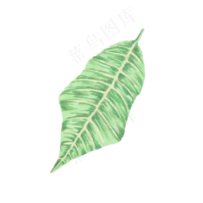 卡通手绘唯美树叶ai矢量模版下载