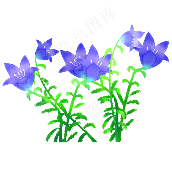 手绘中国风桔梗花水彩(3543X3543(DPI:300))psd模版下载