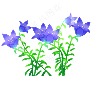 手绘中国风桔梗花水彩