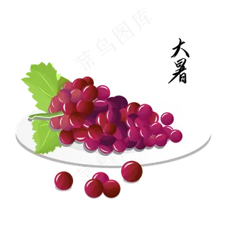 24节气大暑 24节气大暑