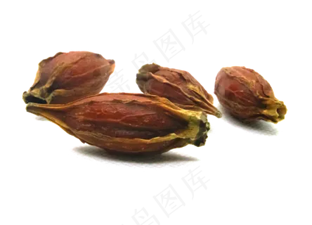 中医药材栀子花子,免抠元素