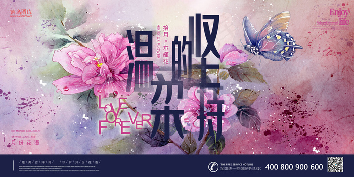 十二月花语之十月木槿花蓝色花鸟画插画展板