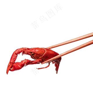美味小龙虾,免抠元素