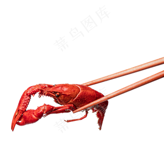 美味小龙虾,免抠元素