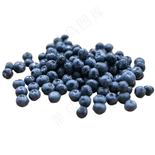 蓝莓浆果花青素摄影