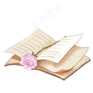 翻开的书与花