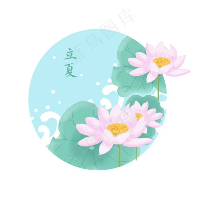 立夏荷花池塘