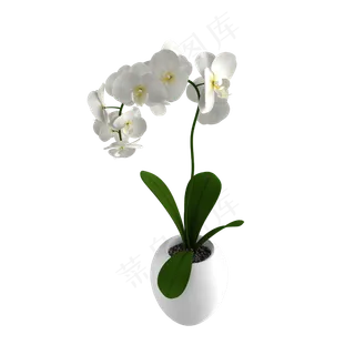 立体仿真蝴蝶兰