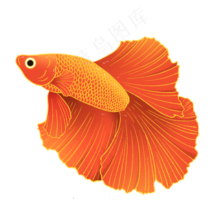 国潮风动物金鱼