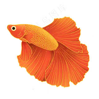 国潮风动物金鱼