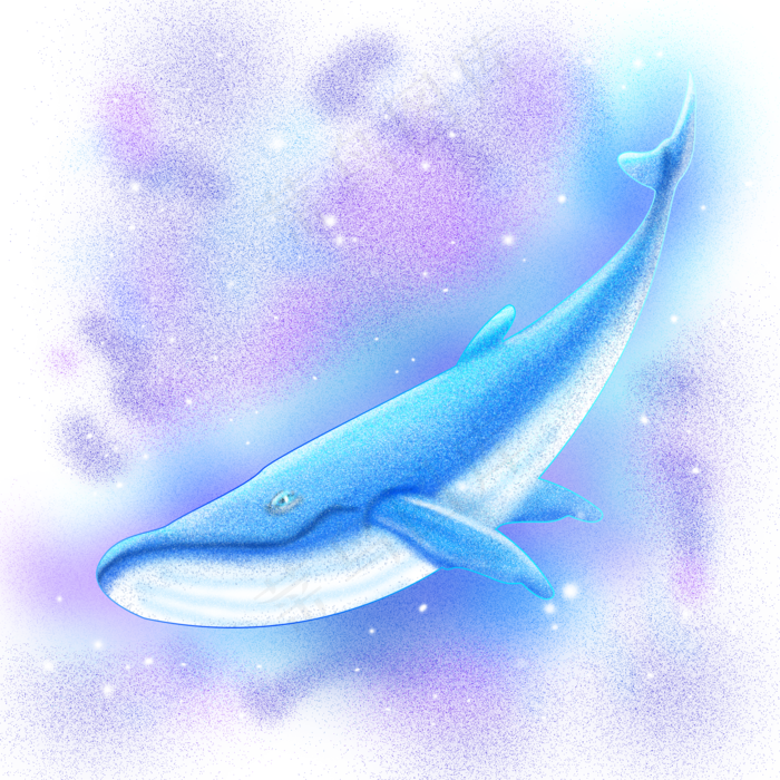 梦幻鲸鱼海洋生物手绘插画psd,免抠元素