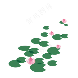 漂浮的荷叶