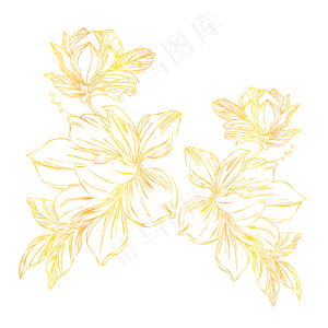 金粉烫金线条手绘花,免抠元素