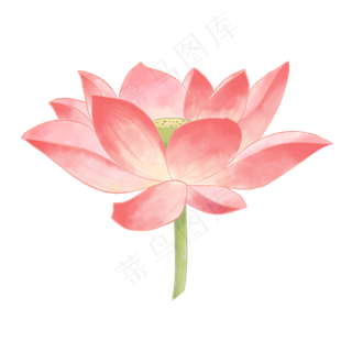 柔软水彩荷花图案
