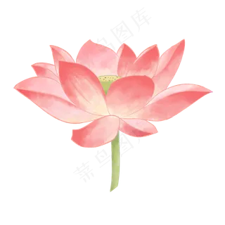 柔软水彩荷花图案