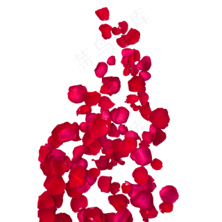 红色玫瑰花瓣