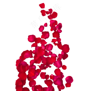 红色玫瑰花瓣