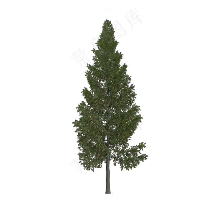 树木植物,免抠元素