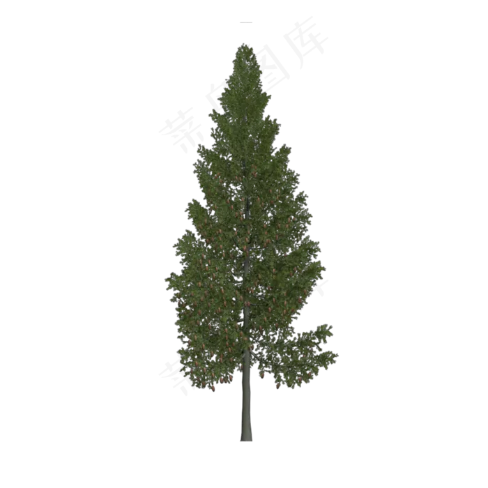 树木植物,免抠元素(2000*2000px 300 dpi )