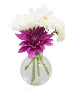 鲜花花瓶花束 鲜花花瓶花束
