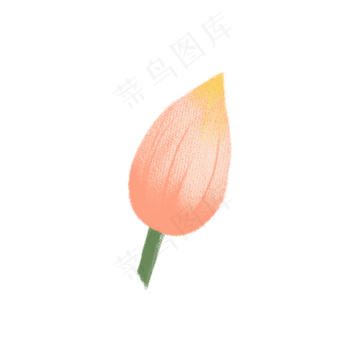 彩色创意植物荷花元素(2000X2000(DPI:300))psd模版下载