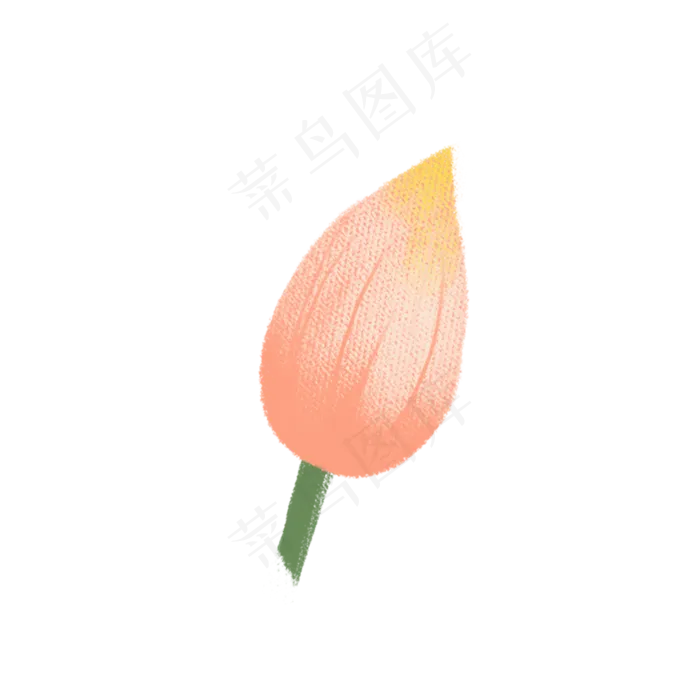 彩色创意植物荷花元素(2000X2000(DPI:300))psd模版下载