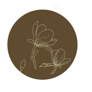手绘花卉中国风玉兰描边
