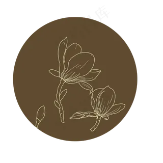 手绘花卉中国风玉兰描边