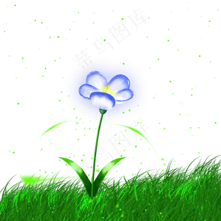 夏至夜晚萤火虫草丛花朵发光小清