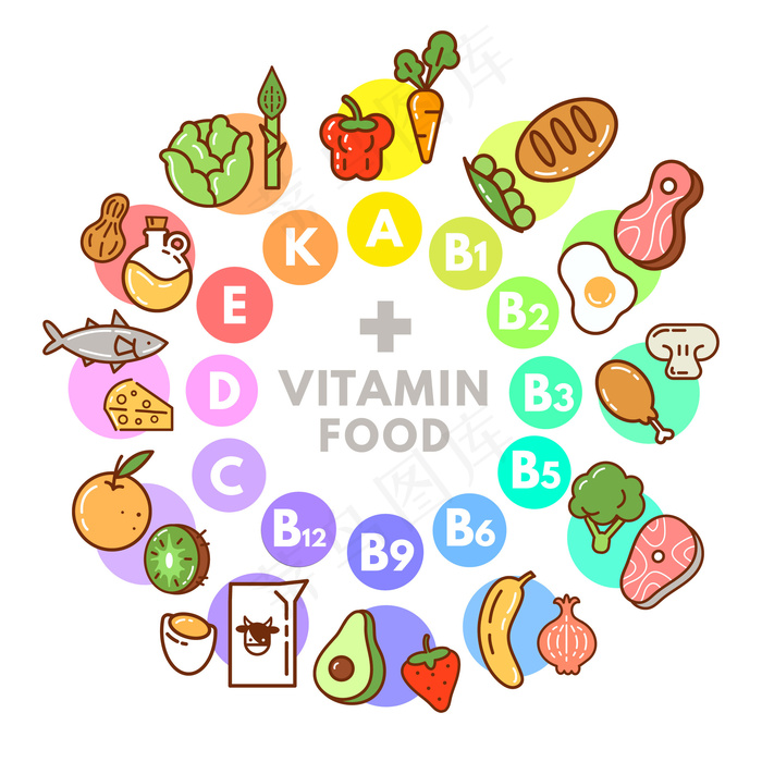 维生素食品信息图