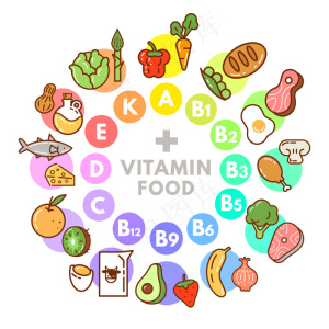 维生素食品信息图