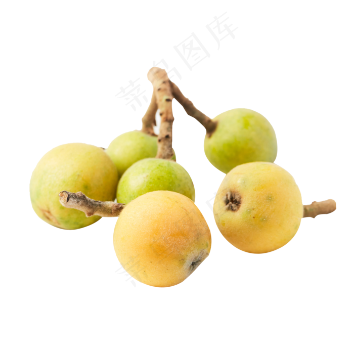 绿色的枇杷免抠图