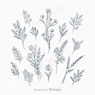 手绘花卉装饰元素