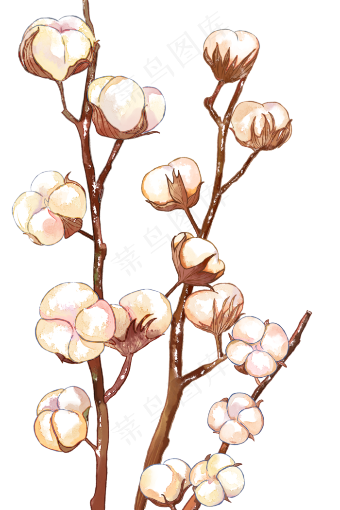 秋季寒露节气之棉花(1125X2436(DPI:72))psd模版下载