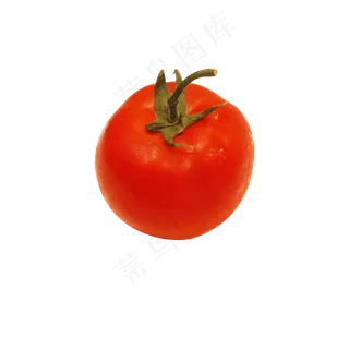 蔬菜西红柿 蔬菜西红柿