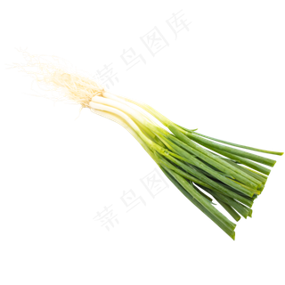 绿色蔬菜小葱