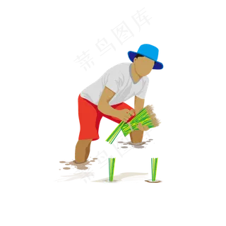 立秋秋季插秧栽秧的农民伯伯