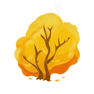 秋天的大树