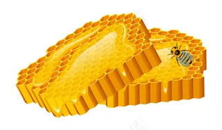 蜜蜂和蜂巢，蜂巢，蜂巢和蜂房。天然农产品。养蜂或花园，花洋甘菊。