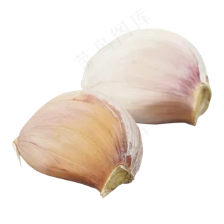 两块蒜头蔬菜