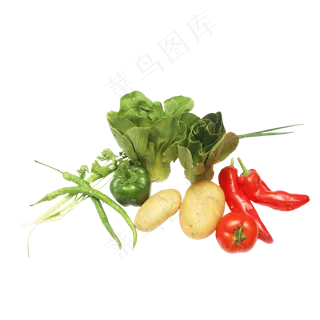 青菜葱辣椒土豆蔬菜组合