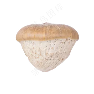 蘑菇（png免抠）
