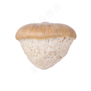 蘑菇(png免抠) 蘑菇(png免抠)