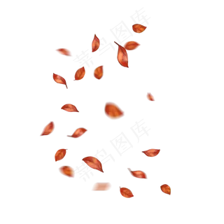 漂浮的红叶秋天飘落的红色叶子秋