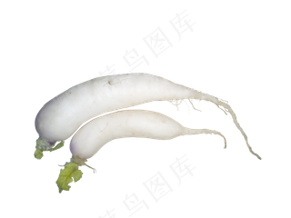 新鲜水萝卜